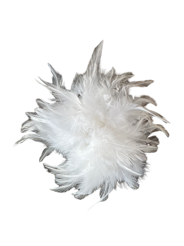 Brosche Feather