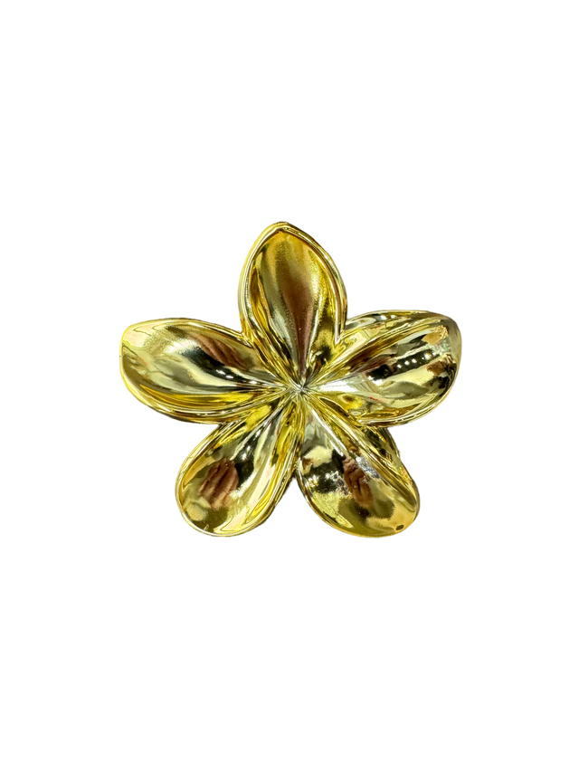 Hairclip Andy