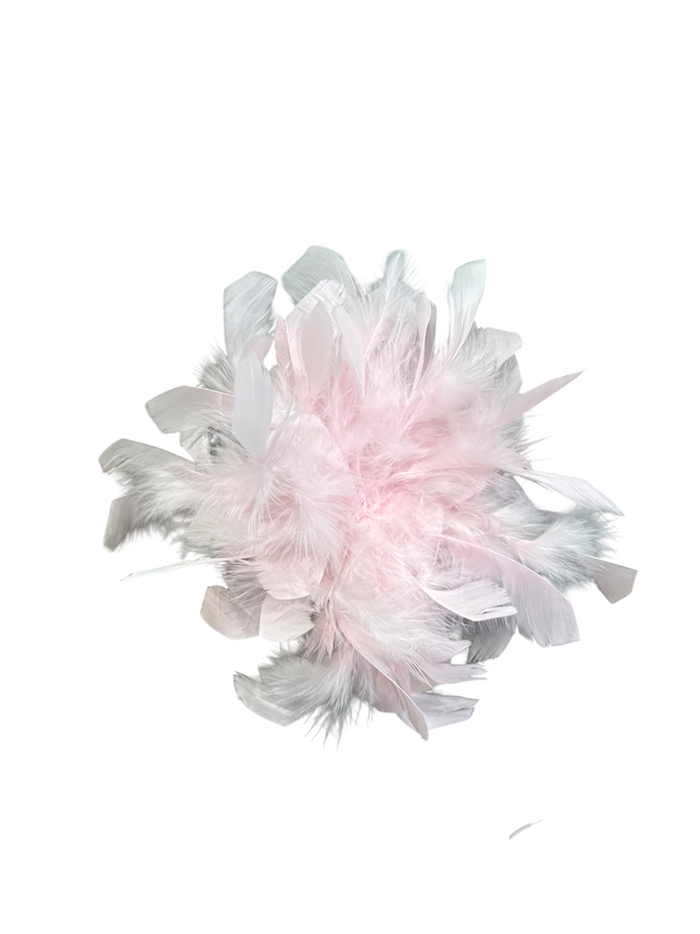 Brosche Feather