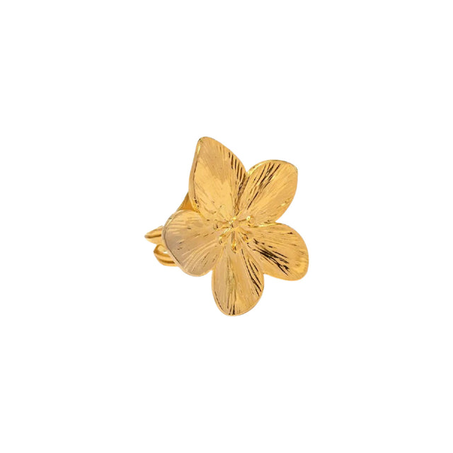 Ring Bloom