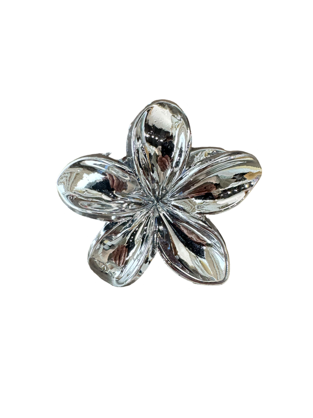 Hairclip Andy