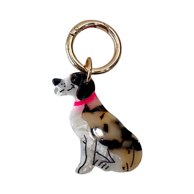 Key Chain Paul