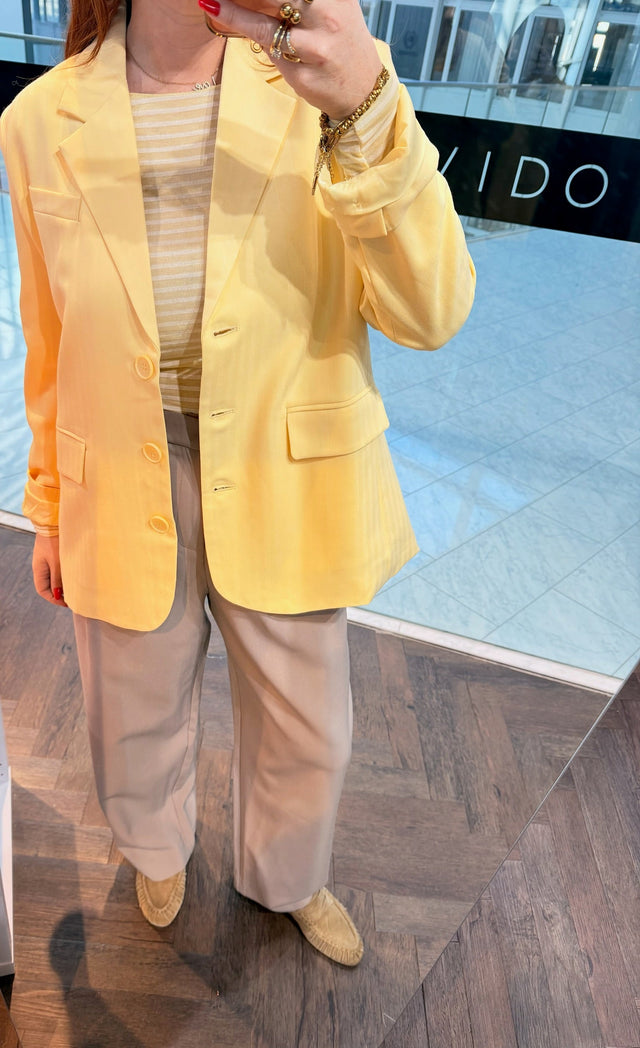Blazer Raya