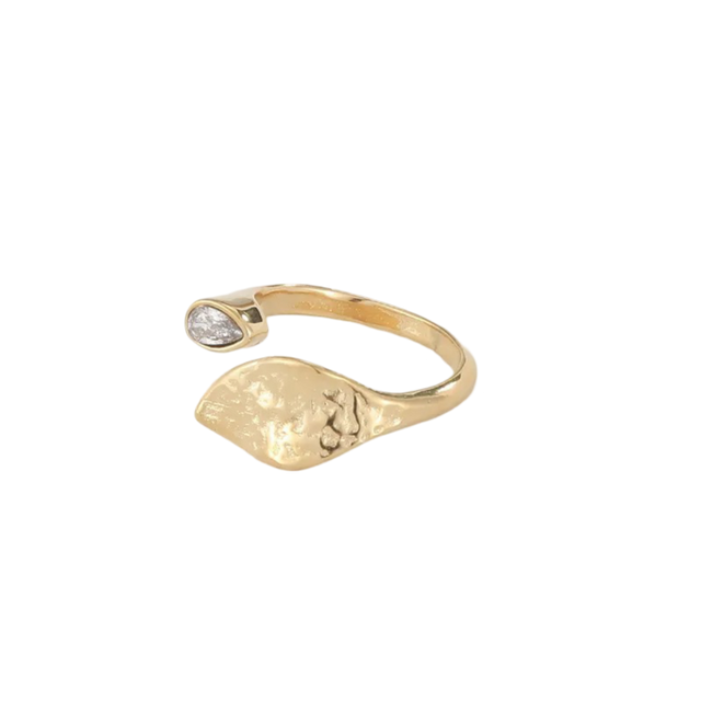 Ring Kir