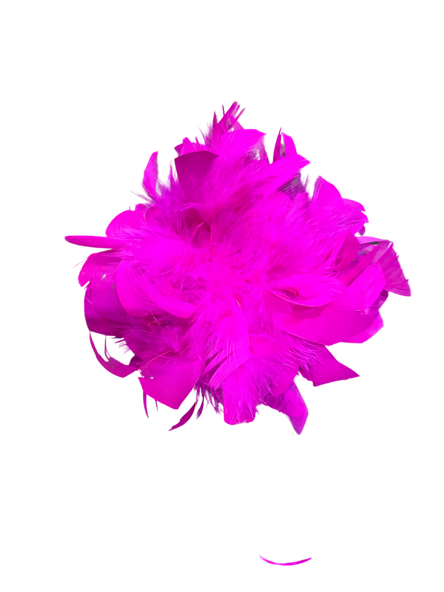 Brosche Feather
