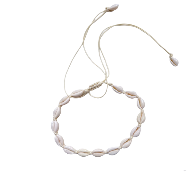 Kette Shellmaster