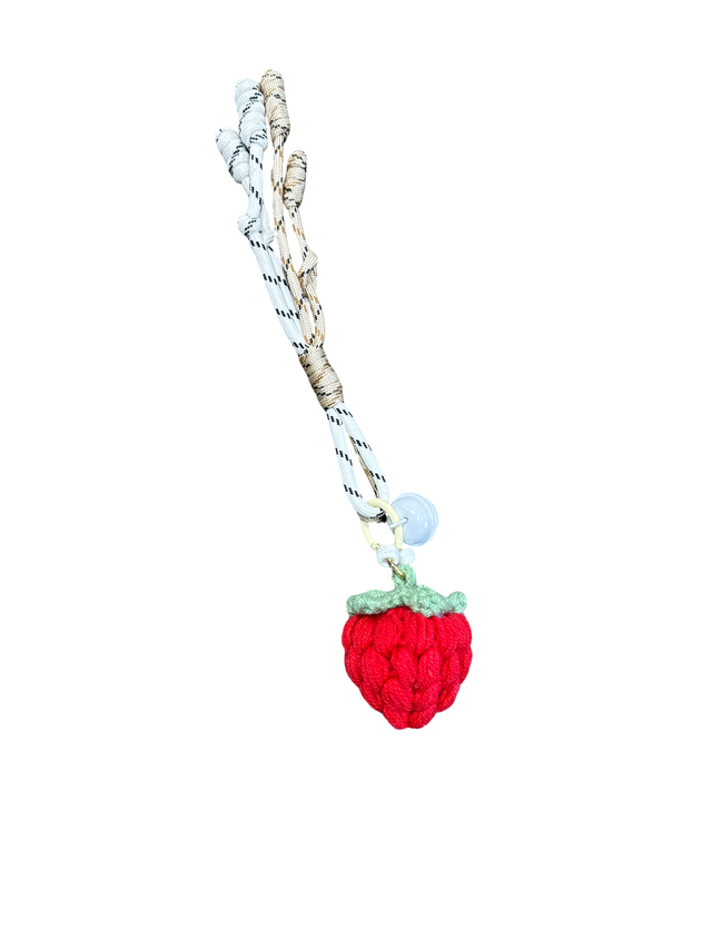 Bag Chain Fruity