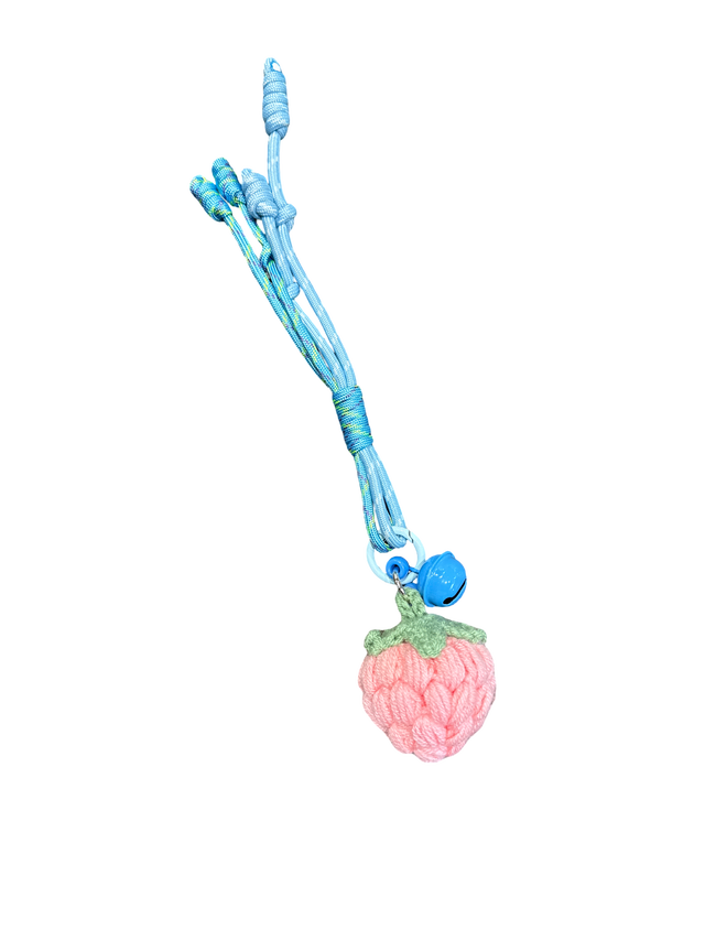 Bag Chain Fruity