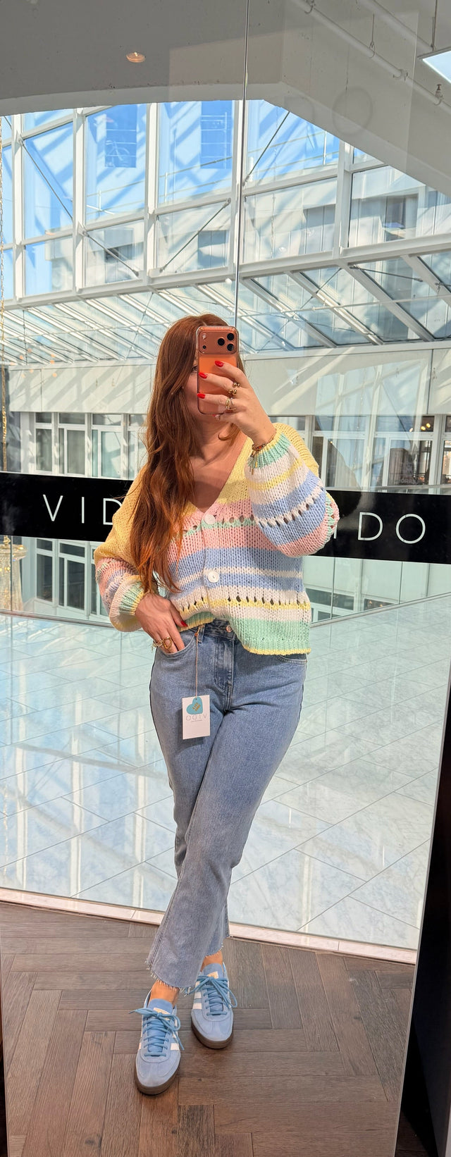 Cardigan Rainbow