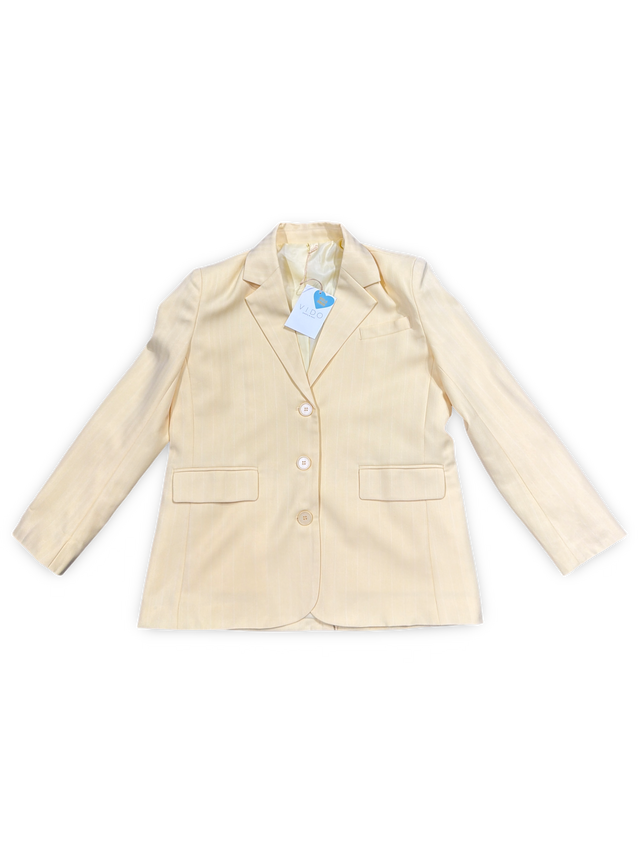 Blazer Raya