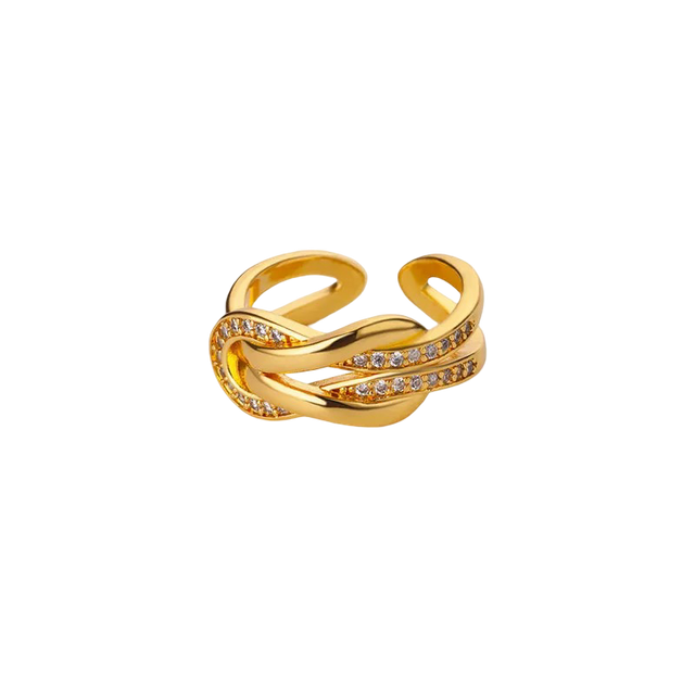 Ring Enlace